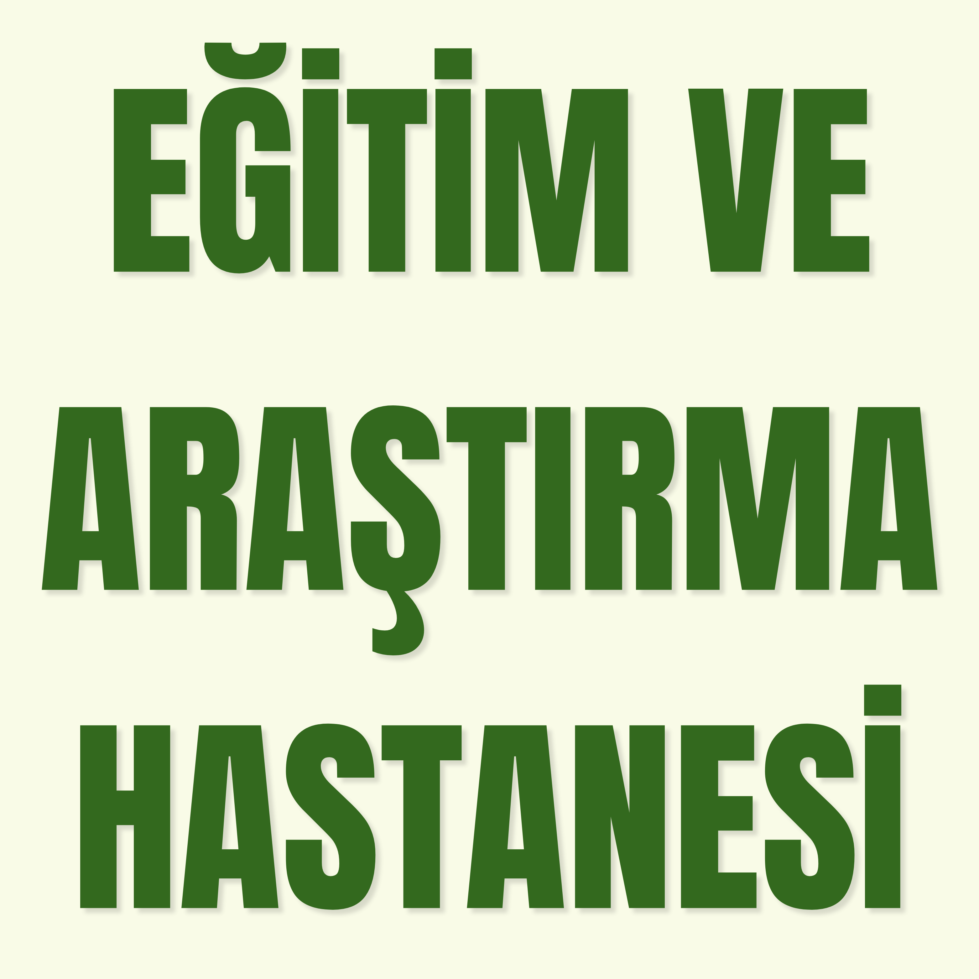 Bursa Yüksek İhtisas Eğitim Ve Araştırma Hastanesi
